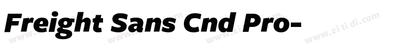 Freight Sans Cnd Pro字体转换
